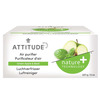 Image of Attitude Green Apple & Basil Air Purifier 227g