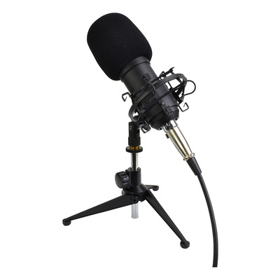 Studio Recording Microphone Complete With Shock mount & Stand