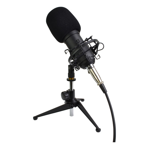 Studio Recording Microphone Complete With Shock mount & Stand