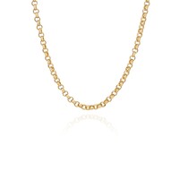 Image of Rolo Chain Collar Necklace - Gold