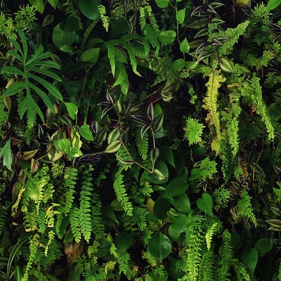 Kew Living Wall Wallpaper Green World of Wallpaper 66119
