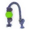 Image of Beco Natural Rubber Ball on Rope Dog Toy, Green, Small