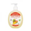 Image of Bentley Organic Organic Handwash Detoxifying with Grapefruit, Lemon & Seaweed 250ml