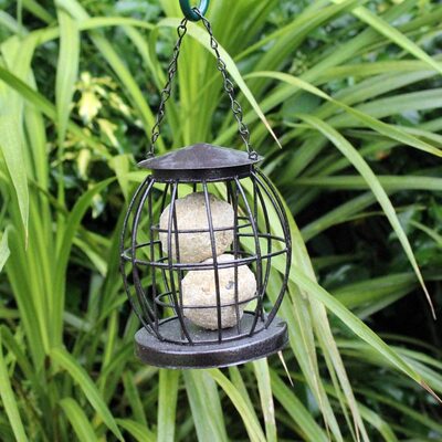 Mini Caged Lantern-Style Wild Bird Fat Ball Feeder With Squirrel Guard