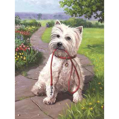Painting By Numbers Kit Regular - Time For A Walk PJS49