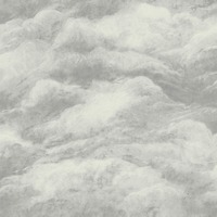 Image of Cloud Wallpaper Grey Belgravia 5705