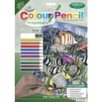 Tropical Fish Colour Pencil by Numbers Kit Regular Size