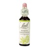 Image of Bach Flower Remedies White Chestnut 20ml