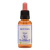Image of Healing Herbs Ltd Gentian - 30ml