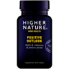 Image of Higher Nature Positive Outlook - 90's