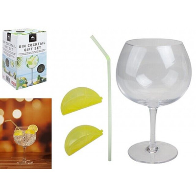 Gin Cocktail Glass & Accessories Gift Set
