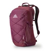 Image of Gregory Kiro 22 Day Pack - Purple