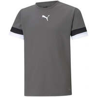 Image of Puma Junior TeamRise Jersey T-Shirt - Gray