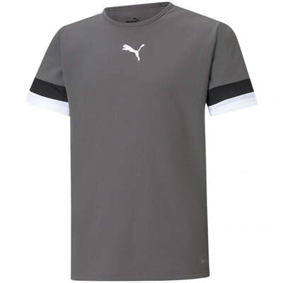 Puma Junior TeamRise Jersey T-Shirt - Gray