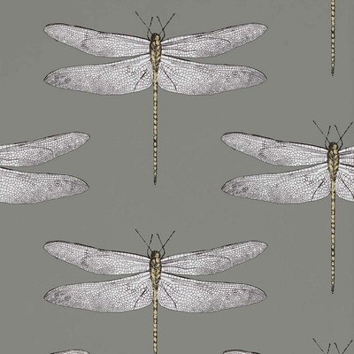 Harlequin Demoiselle Dragonfly Wallpaper Graphite / Almond HGAT111242