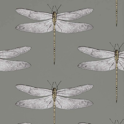 Harlequin Demoiselle Dragonfly Wallpaper Graphite / Almond HGAT111242
