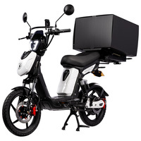 Eskuta SX-250 Series 4 Cargo Electric Bike
