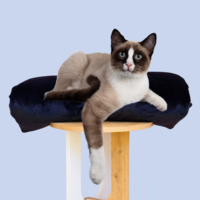 Cat Bed Mattress Fur Blackberry Cover - Cat Bedding Set