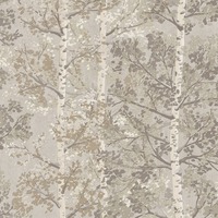 Silverwood Tree Wallpaper Natural Rasch 100227