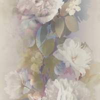 Aurora Floral Wallpaper Purple Erismann 10513-09