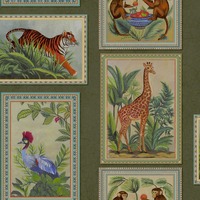 Tropical Frames Wallpaper Green Holden 14271