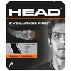 Image of Head Evolution Pro Squash String Set