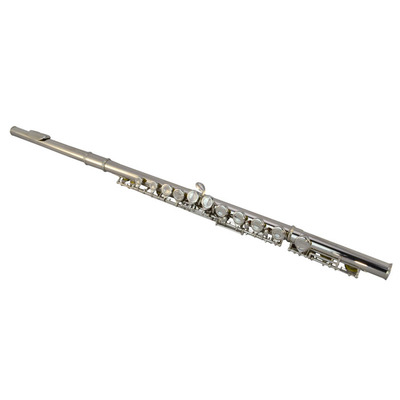 16 Hole Nickel Plated Flute