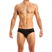 Modus Vivendi Wolf Brief