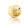 Image of Wild Ferns Manuka Honey Conditioning Lip Balm 15g