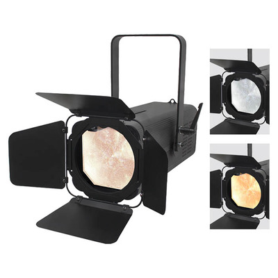 Artisan 2000 CW/WW LED Fresnel Stage Light