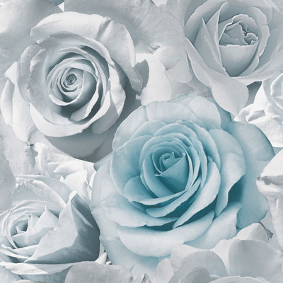 Madison Rose Floral Wallpaper Blue Muriva 119503