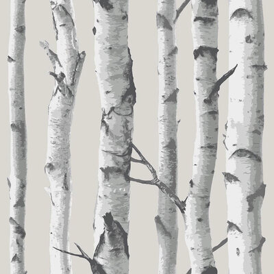 NuWallpaper Birch Tree Peel And Stick Wallpaper Grey Fine Decor NU1650 5.5m x 0.52m