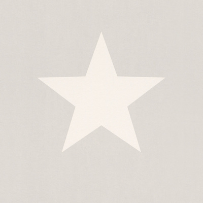 Star Wallpaper White on Grey Rasch 248128