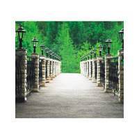 Image of Forest-Walk (IE125-FTN0349)