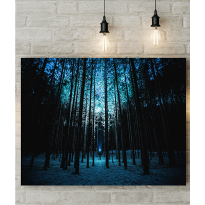 Night Shining Forest Picture Canvas