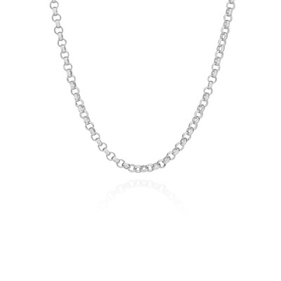 Rolo Chain Collar Necklace - Silver