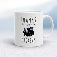 Thanks For All The Orgasms Mug – White, 10oz