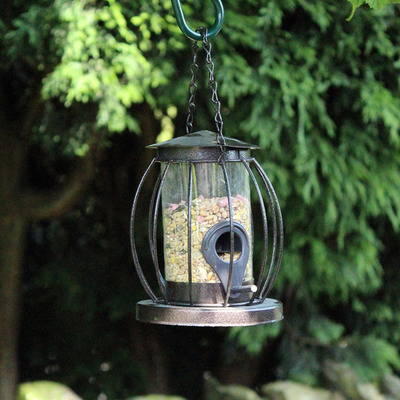 Mini 14cm Metal Lantern Bird Seed Feeder With Squirrel Guard