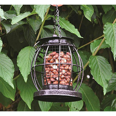 Kingfisher Mini Lantern Wild Bird Nut Feeder with Squirrel Guard