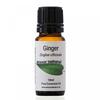 Image of Amour Natural Ginger 10ml