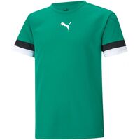 Image of Puma Junior TeamRise Jersey T-Shirt - Green
