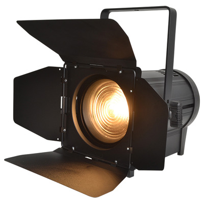 LED Fresnel 100W Warm White Stage Spot with Barn Door