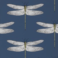 Harlequin Demoiselle Dragonfly Wallpaper Ink Blue / Chartreuse HGAT111243