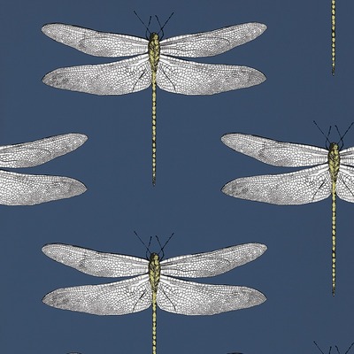 Harlequin Demoiselle Dragonfly Wallpaper Ink Blue / Chartreuse HGAT111243
