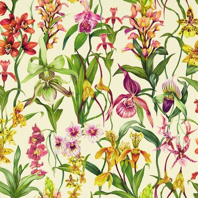Harlequin Kalina Wallpaper Parchment / Forest / Azalea HC4W113009
