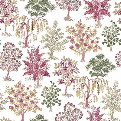 Into The Wild Alberi Trees Wallpaper Red Galerie 18558
