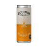 Image of Equinox Kombucha Organic Fiery Ginger Sparkling Kombucha 250ml SINGLE CAN