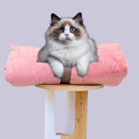 Cat Bed Mattress & Faux Fur Pink Cover - Cat Bedding Set