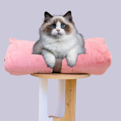 Cat Bed Mattress & Faux Fur Pink Cover - Cat Bedding Set – The Big Little Duvet Company