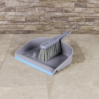 Lifestyle Dustpan and Brush